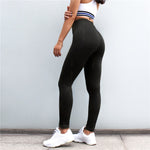 Avion Performance Leggings